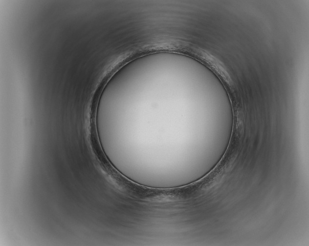 X0000112380578200908271321