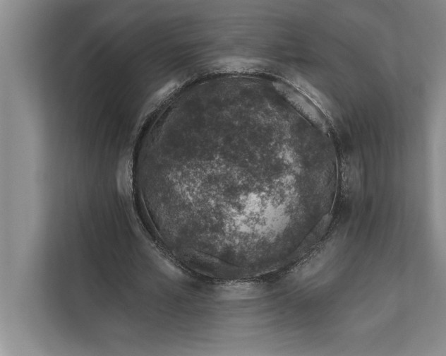 X0000112380581200908271321