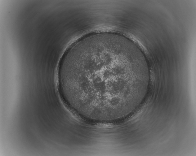 X0000112380582200908271321