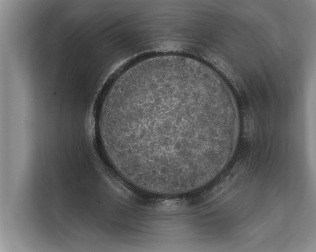 X0000112380584200908271321