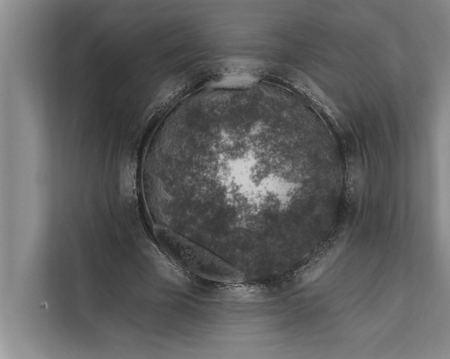 X0000112380585200908271321