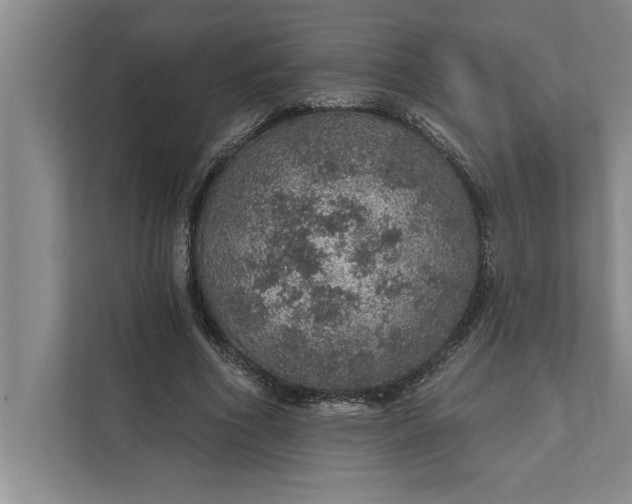 X0000112380586200908271321