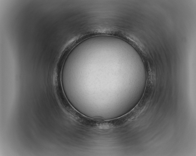 X0000112380587200908271321