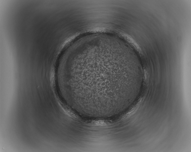 X0000112380588200908271321