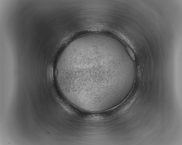 X0000112380589200908271321