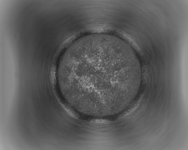 X0000112380590200908271321