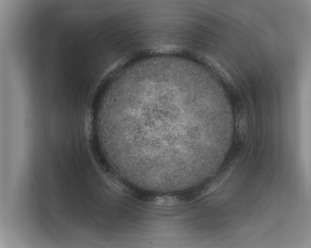 X0000112380591200908271321