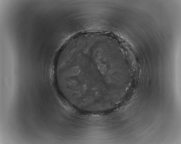 X0000112380592200908271321