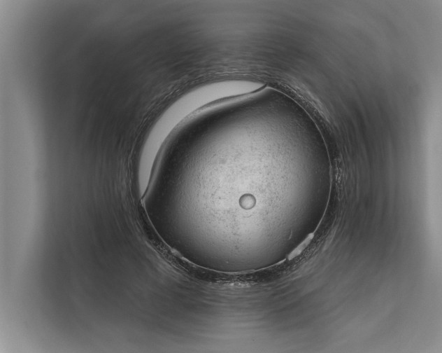 X0000112380593200908271321