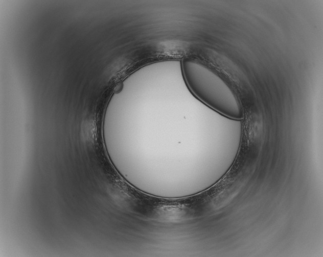 X0000112380595200908271321