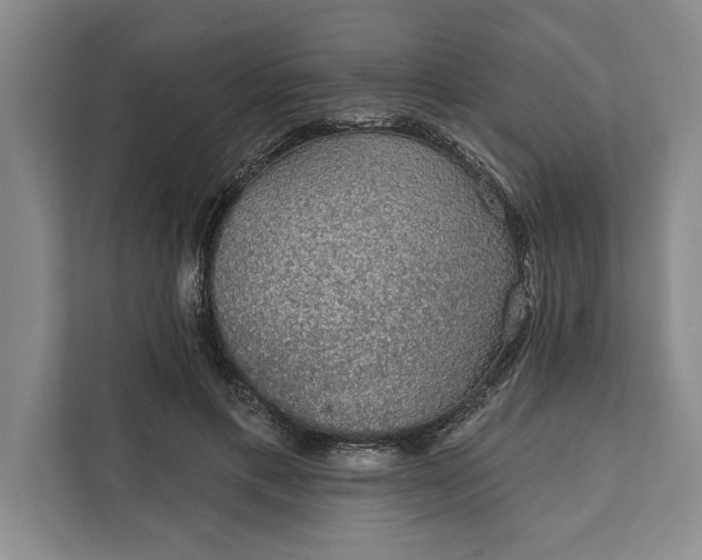 X0000112380597200908271321