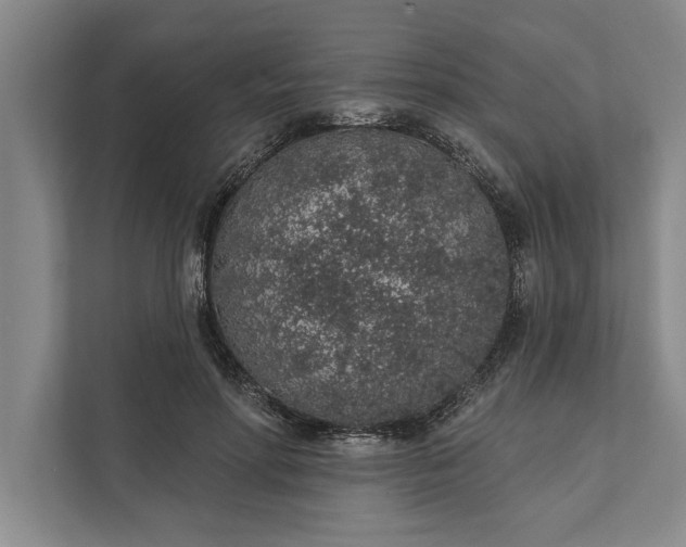 X0000112380598200908271321