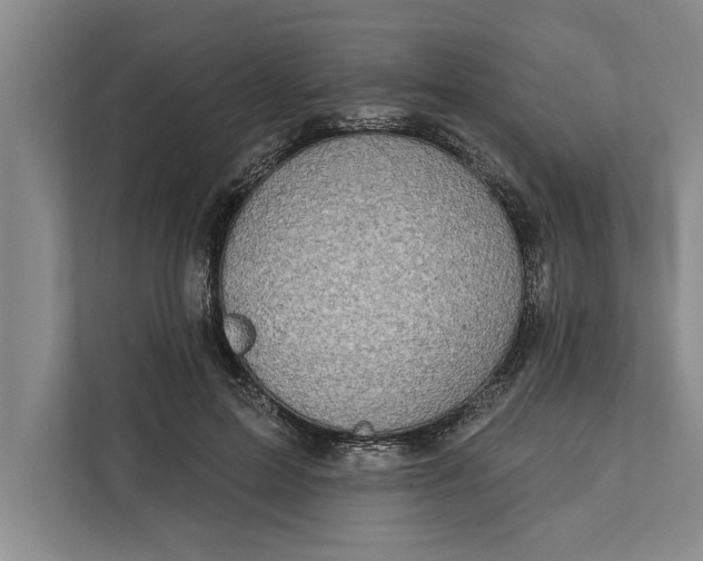 X0000112380599200908271321