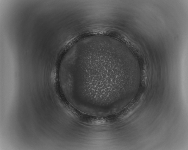 X0000112380600200908271321