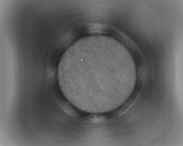 X0000112380601200908271321