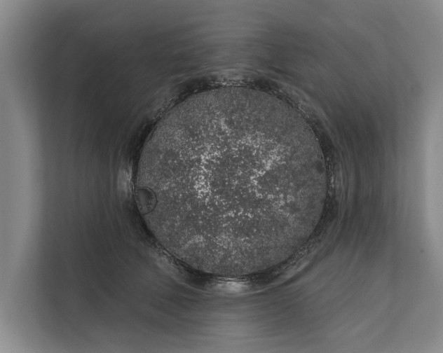 X0000112380610200908271321