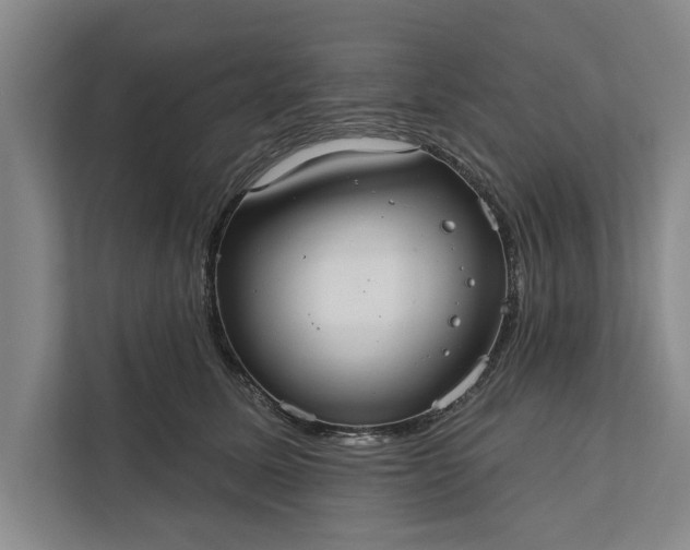 X0000112380611200908271321