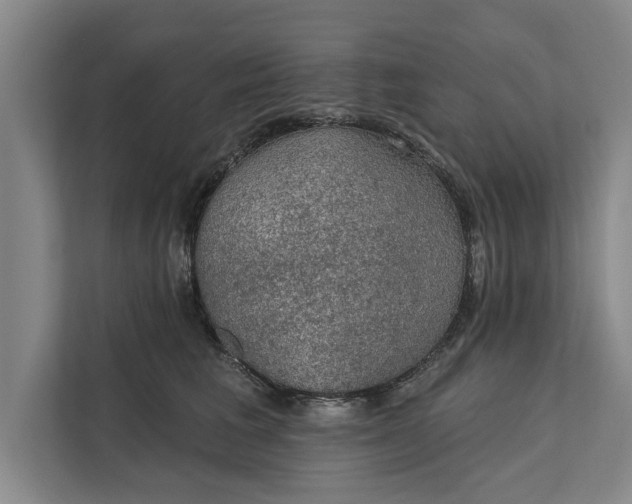 X0000112380613200908271321