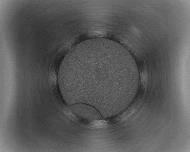 X0000112380617200908271321