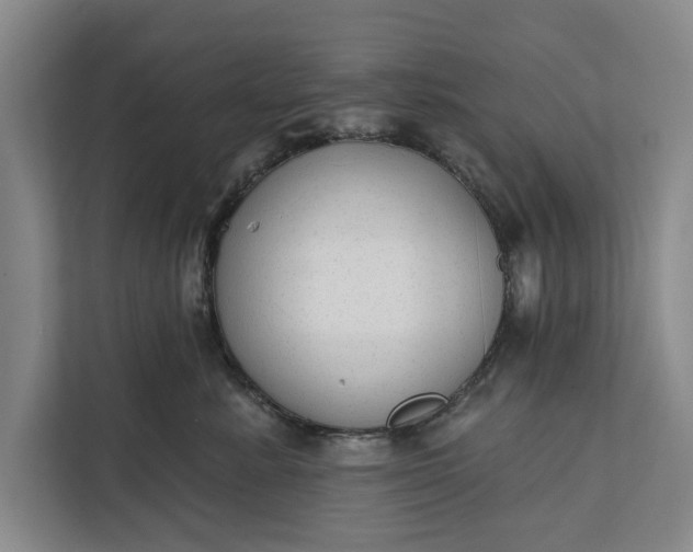 X0000112380619200908271321