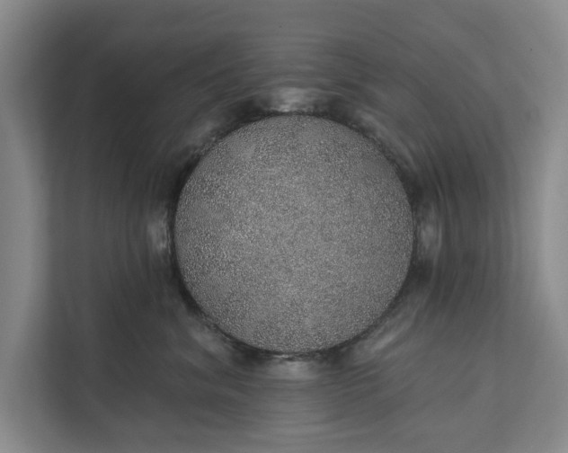 X0000112380620200908271321