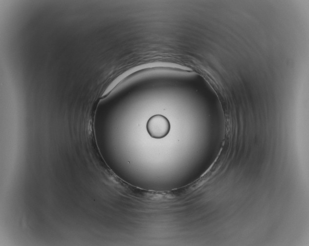 X0000112380621200908271321