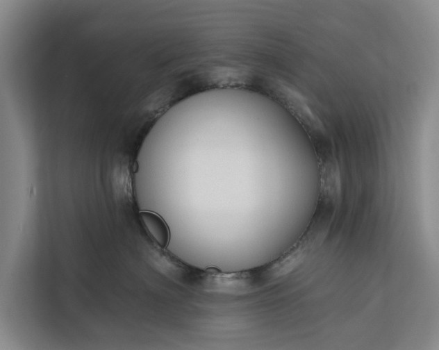 X0000112380622200908271321