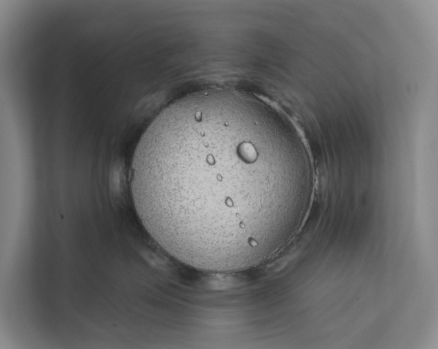 X0000112380623200908271321