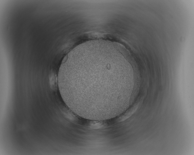 X0000112380624200908271321