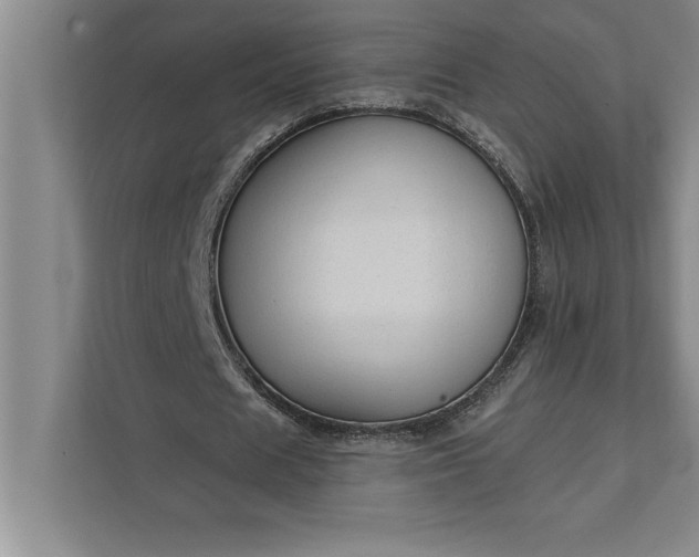 X0000112380625200908271320