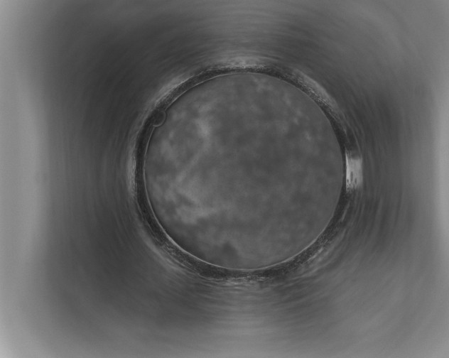 X0000112380627200908271320