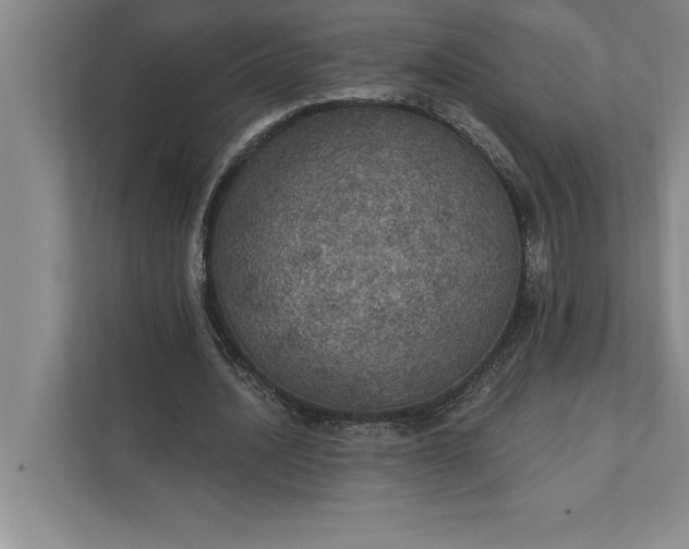 X0000112380628200908271320