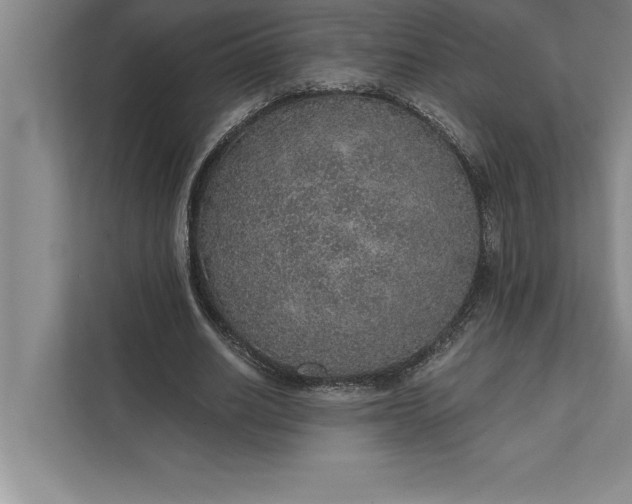 X0000112380630200908271320