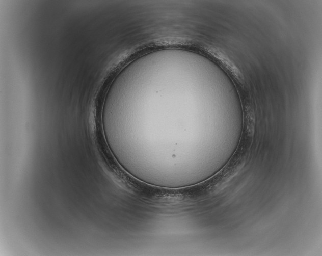 X0000112380631200908271320