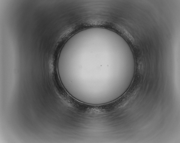 X0000112380635200908271320