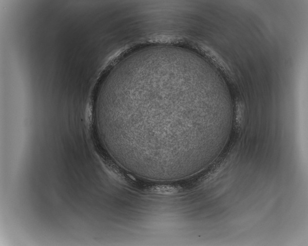 X0000112380636200908271320