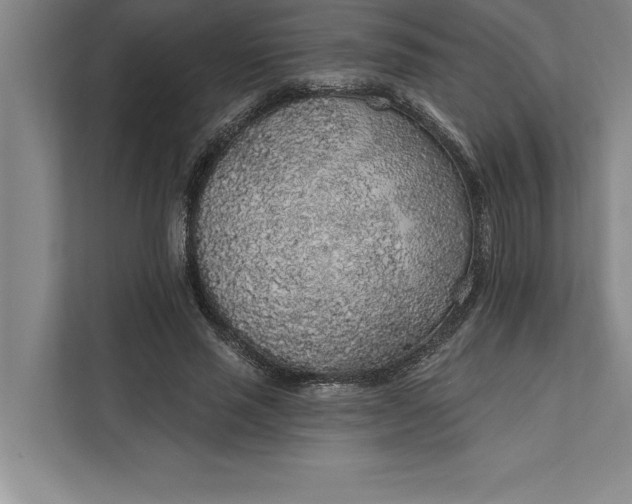 X0000112380637200908271320