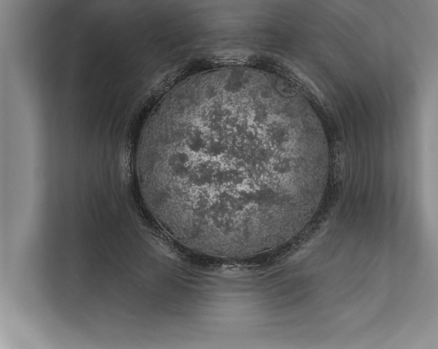 X0000112380641200908271320