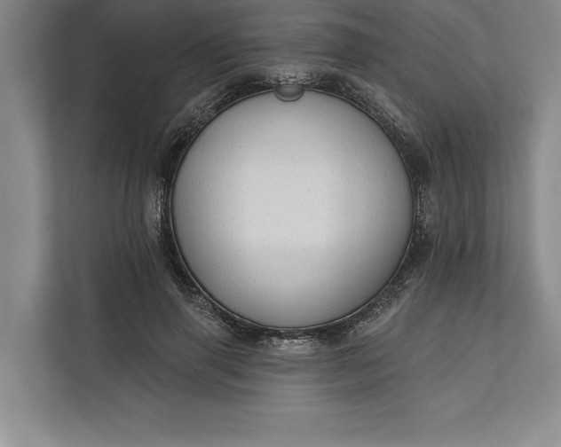 X0000112380645200908271320