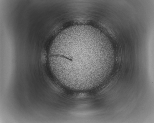 X0000112380647200908271320