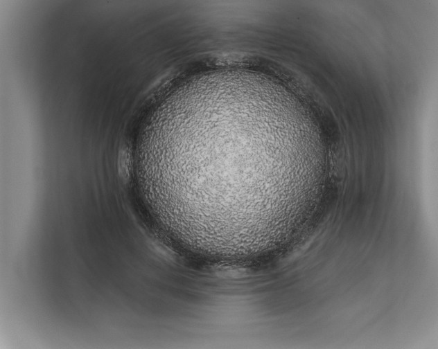 X0000112380648200908271320