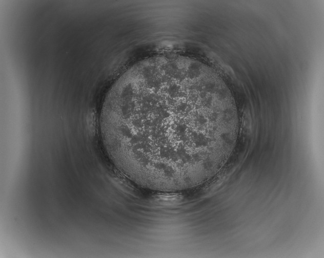 X0000112380659200908271321