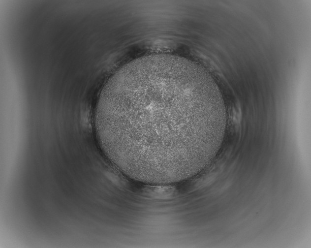 X0000112380663200908271321