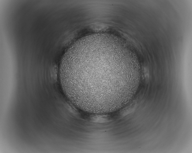 X0000112380664200908271321