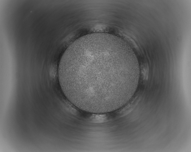 X0000112380665200908271321