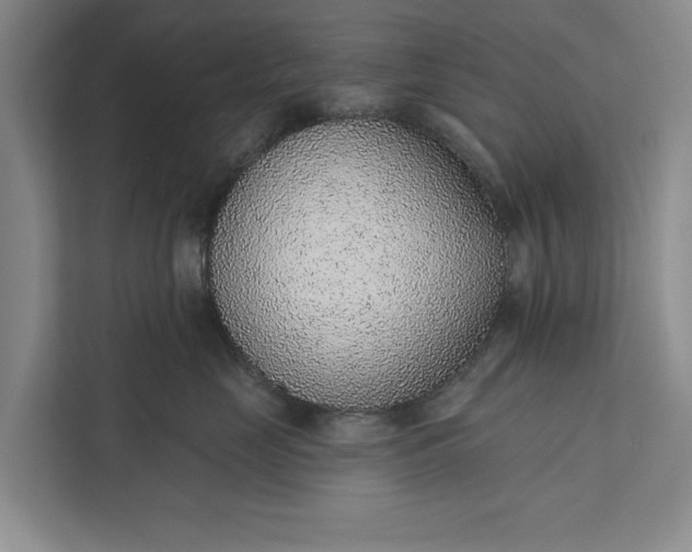 X0000112380669200908271321