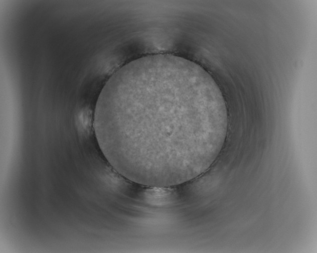 X0000112380672200908271321