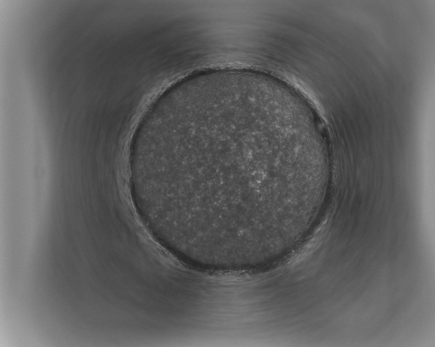 X0000112380673200908271320