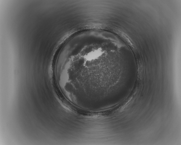 X0000112380674200908271320