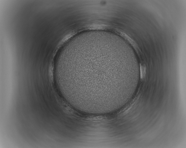 X0000112380675200908271320